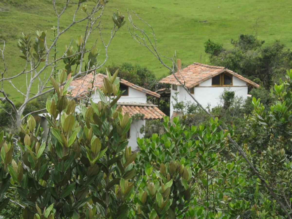 הוילה גוואטביטה Jardin Colibri Rnt 33633 מראה חיצוני תמונה