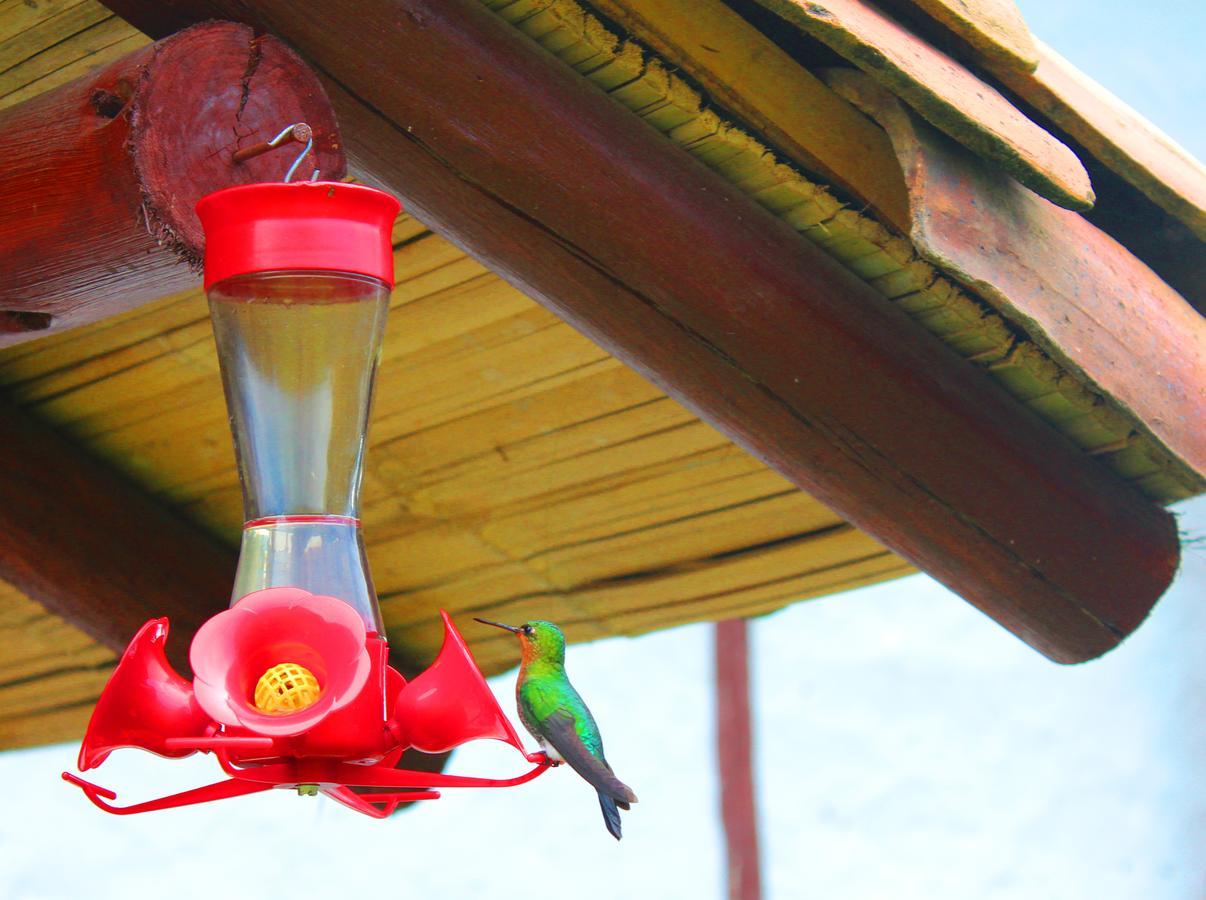 הוילה גוואטביטה Jardin Colibri Rnt 33633 מראה חיצוני תמונה